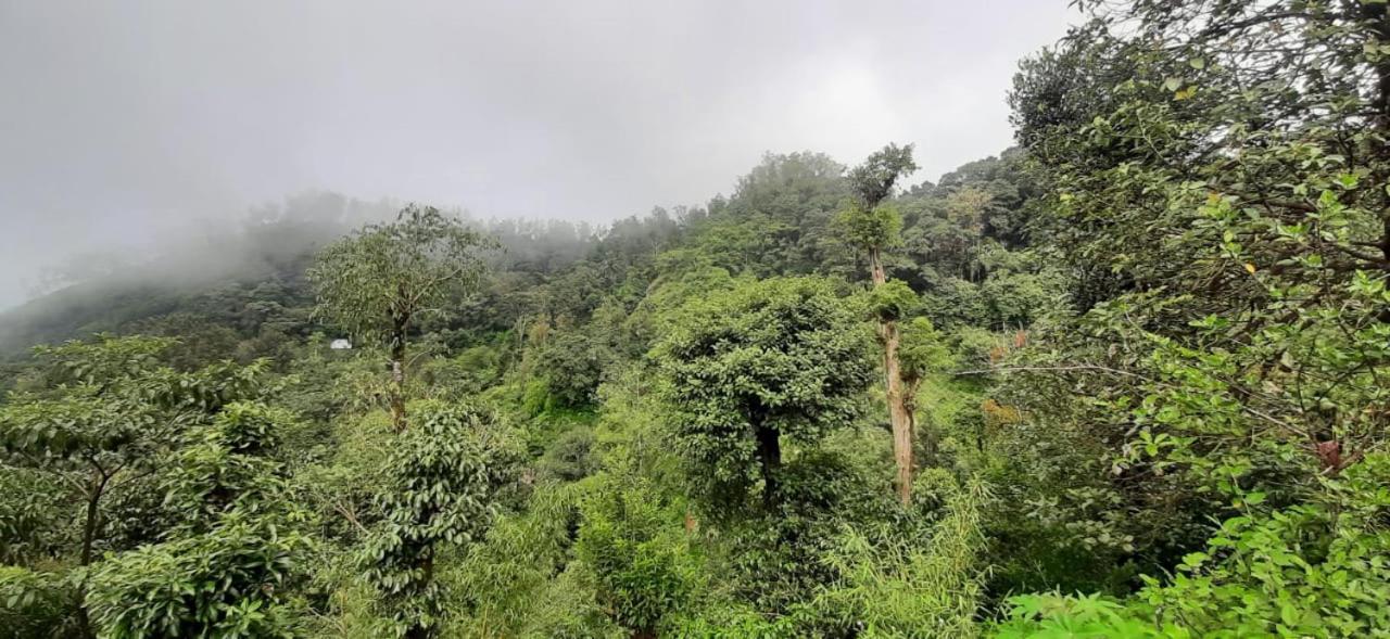 Spinson Home Stay Madikeri Buitenkant foto